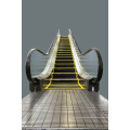 Airport Subway Outdoor Heavy Loading Escalator Moving Sidewalk